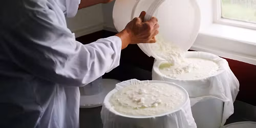 Cheese Making Course for Beginners