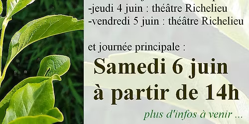 Festival Libellule