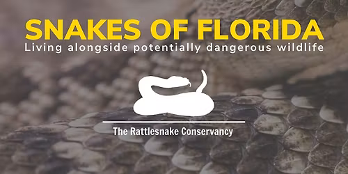 Wild Nite - Living Alongside Potentially Dangerous Wildlife