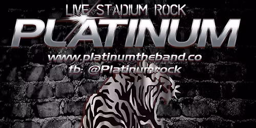 Platinum rocks The Plough in Ollerton Nottingham (BOXING DAY Night)
