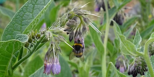 Drawing session and community lunch: help co-design our cook book
