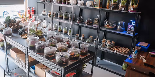 Terrarium workshop