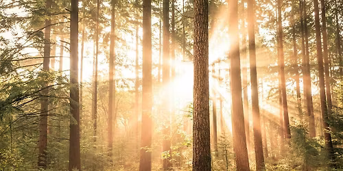 A Group Mediumship Reading with Mary Stevens