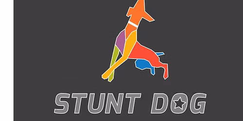 Stunt Dog Showcae: Day #3 Novice Level