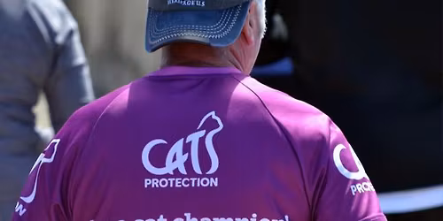 Great Bristol Run EARLY BIRD ENTRY NOW OPEN