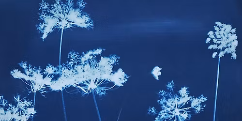 Alternative Process Photography: Cyanotypes and Beyond! Summer 2 with Bonnie Bond