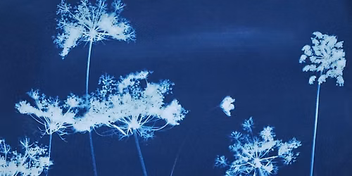 Alternative Process Photography: Cyanotypes and Beyond! Summer 2 with Bonnie Bond