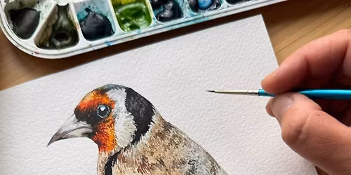 Goldfinch Perched on a Teasel Watercolour Workshop with Rita Gould