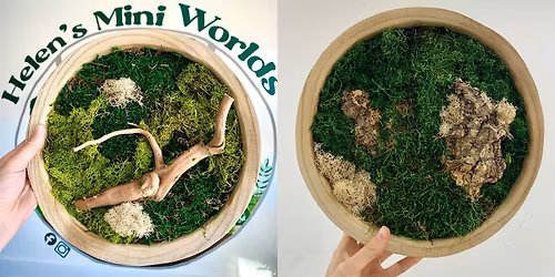 Moss Wall Art Workshop