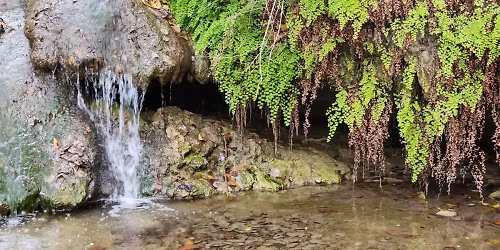 Her Adventure Hike for Women--River Place Trail