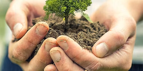 Shafer Park Clean-Up & Arbor Day Celebration 