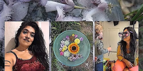 Flower Essences for Kids: A Powerhouse in Holistic Therapy w\/ Lena Moon