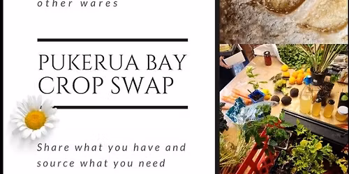 Kapiti Crop Swap PUKERUA BAY
