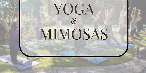 Yoga and Mimosas