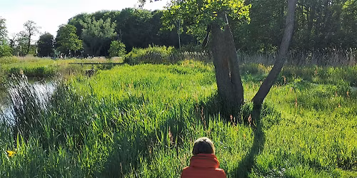 Bosbaden \/ Shinrin-Yoku \/ Forest Bathing - Amsterdamse Bos