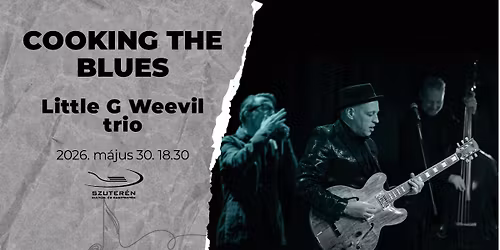 LITTLE G WEEVIL trio \/ Cooking the Blues