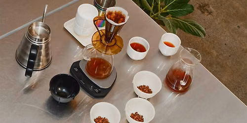 fresh crop specialty coffee tasting