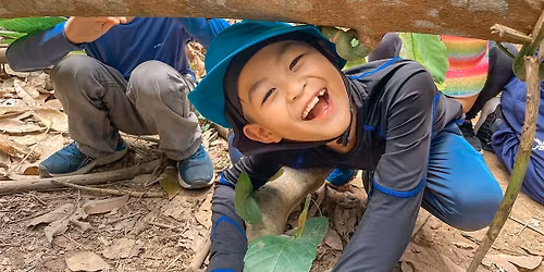 Forest Scouts Holiday Camp