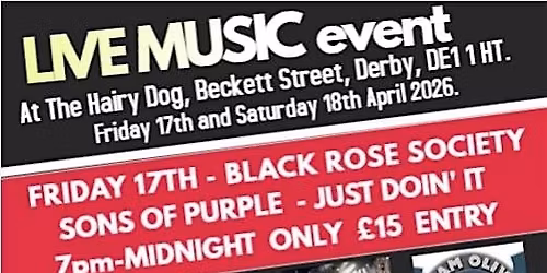 Rock weekend at The Hairy Dog, Derby, April 2026.