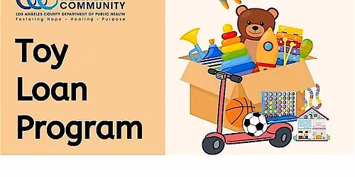 Toy Loan Program
