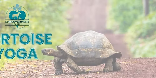 Tortoise Yoga at Empowerment Farm