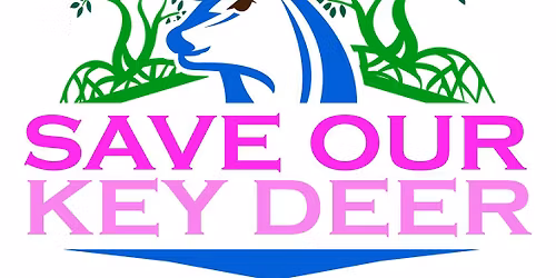 Painted Key Deer Statue Unveiling