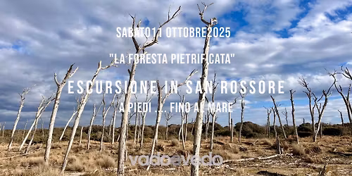 Escursione nella Tenuta di San Rossore ... fino al mare