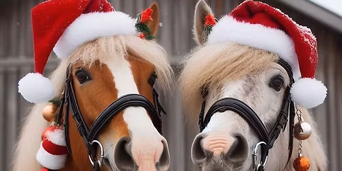 Miko\u0142ajki w Stajni Eldorado!