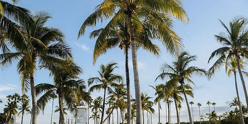 Become a Certified End-of-Life Doula | South Florida In-Person Training