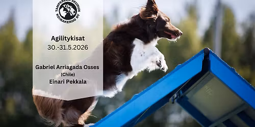 TamSKin toukokuun agilitykisat