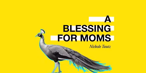 The MomC\u014d of FayCo Dec10th Meetup (MORNING) 