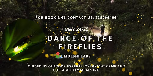 Dance of the Fireflies - Batch 1