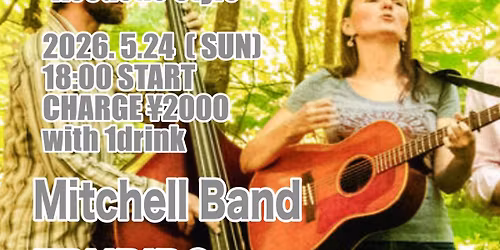 BBB LIVE 526 Acoustic Style