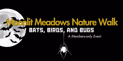 Moonlit Meadows: Nature Walk
