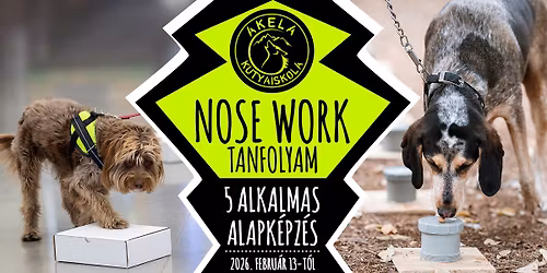 \ud83d\udc36 NOSE WORK tanfolyam \ud83d\udc43\ud83c\udffb