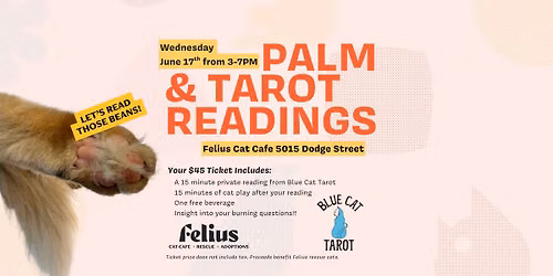 Palm & Tarot Readings with Cats w\/ Blue Cat Tarot