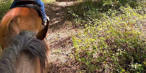 Trail Ride Experience