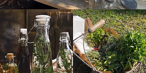 Herbal Infused Vinegar Demo