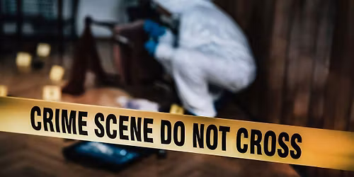 Forensics Uncovered: Insights into Career Opportunities in Crime Scene Work