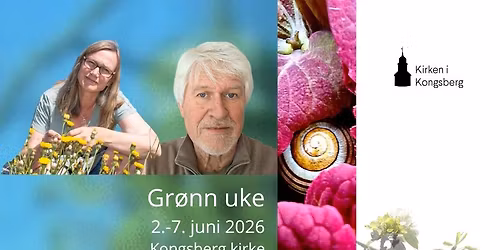 Gr\u00f8nn uke i Kongsberg kirke 2.-7. juni