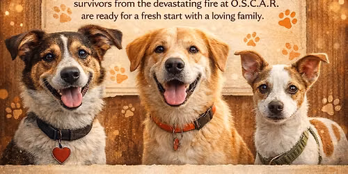 O.S.C.A.R Adoption Event! 