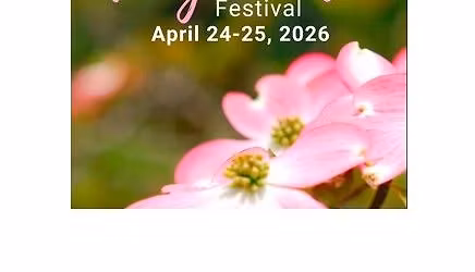 Vinton Dogwood Festival - Friday Night Concert