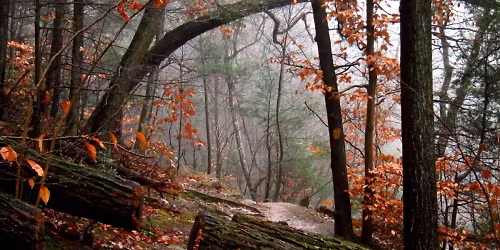 MID WISSAHICKON VALLEY HIKE with Rich Kranz