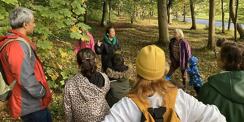 Tree ID Walk at Porthkerry Country Park