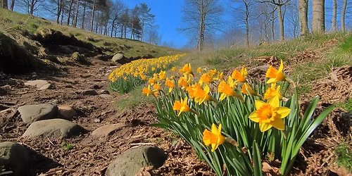 Spirit Message Session