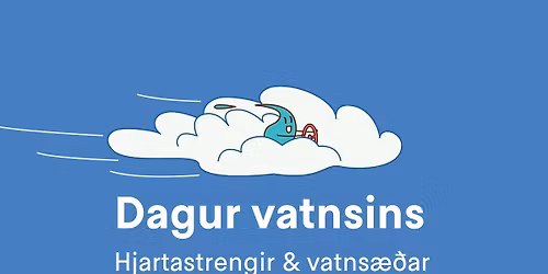 L\u00e6r\u00f0u um fer\u00f0alag vatnsins \u00ed Elli\u00f0a\u00e1rst\u00f6\u00f0