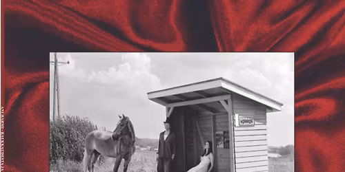 Ani Harmi (levyjulkkarit), Pixiepilvi