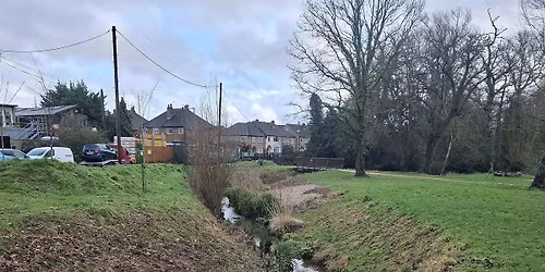 The Yeading Brook - Clean Up