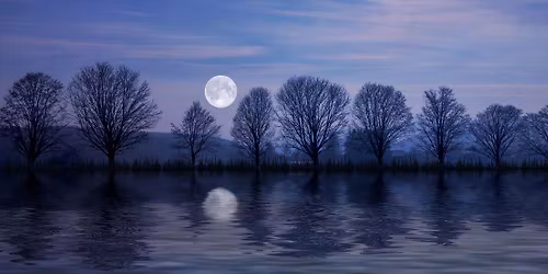 Hearthstone Open Full Moon