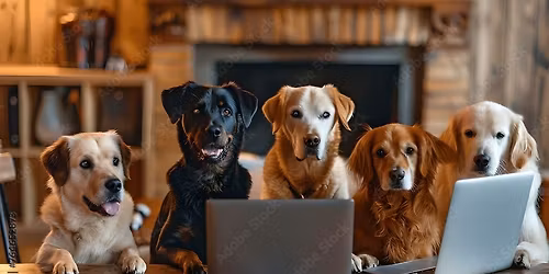 Monthly Membership Meeting